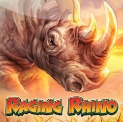 raging-rhino hoge variantie gokkast
