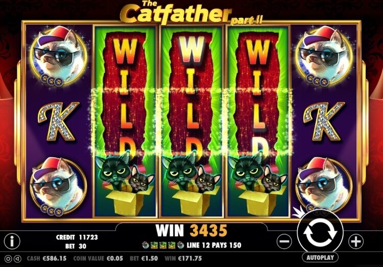 The Catfather Part II Pragmatic Play big win