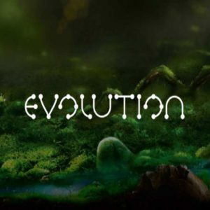 evolution slot review netent