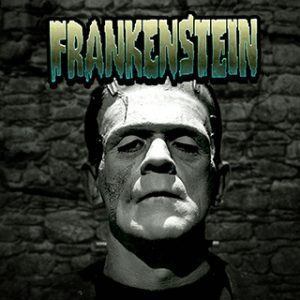 frankenstein-netent-stopt per maart 2018