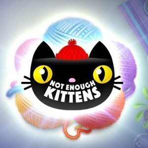 Not-Enough-Kittens-Slot review