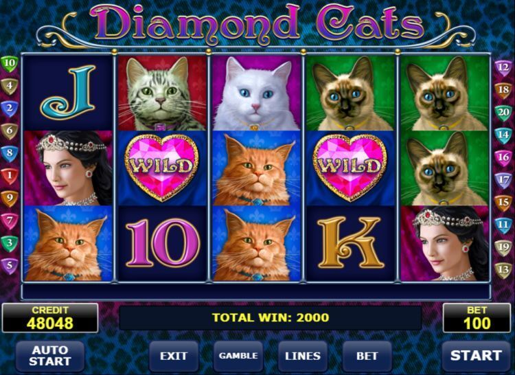 Diamond cats amatic 