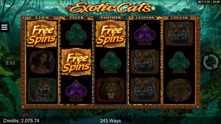 Exotic Cats microgaming