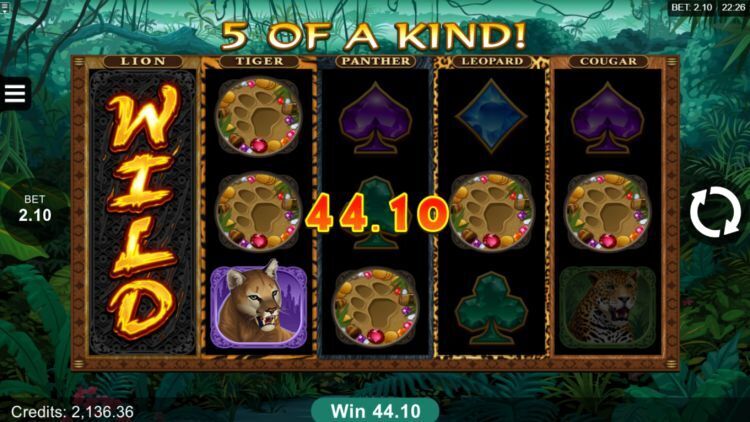 Exotic Cats microgaming review