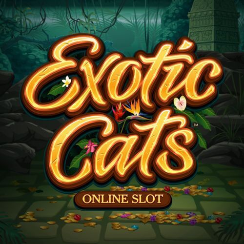 Exotic Cats slot logo
