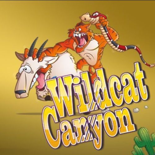 Wildcat canyon slot review
