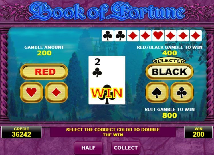 Book of fortune slot review