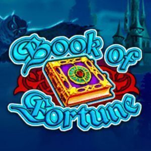 Book of fortune slot logo