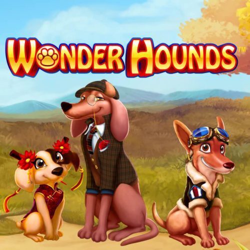 wonder-hounds slot