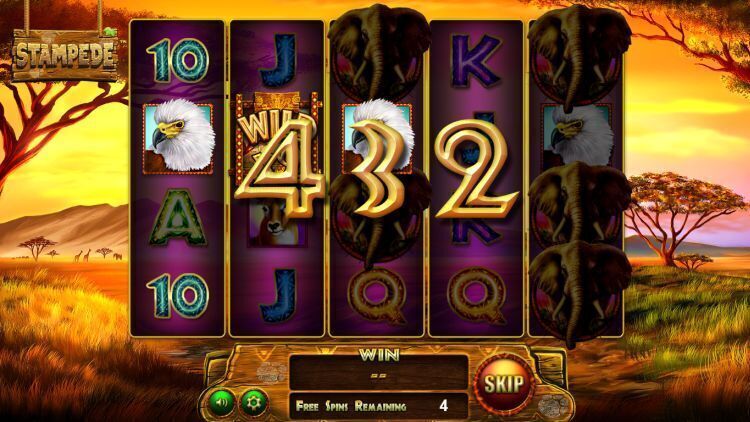 stampede-slot review betsoft f