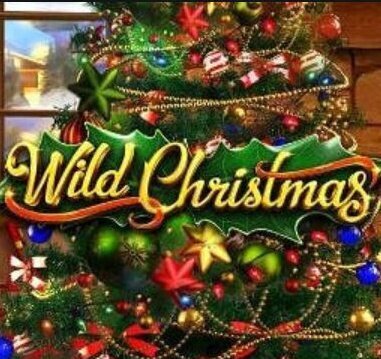Wild Christmas slot review