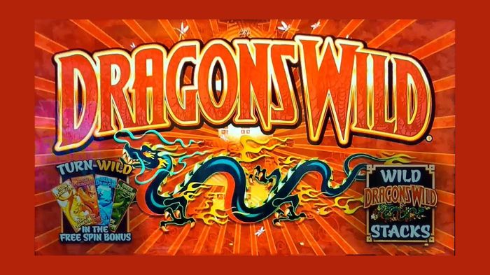 dragons wild slot