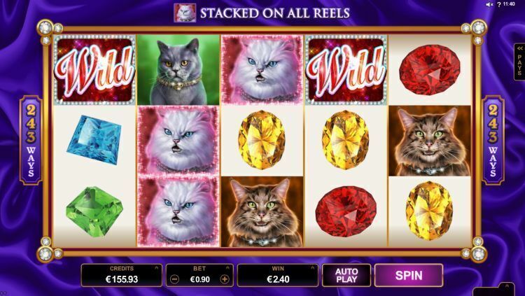 pretty-kitty slot stacked symbols