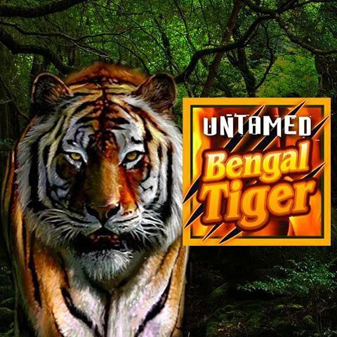 Untamed Bengal Tiger slot review