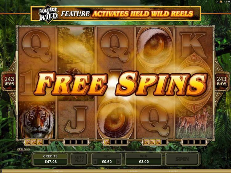 Untamed Bengal Tiger slot review microgaming