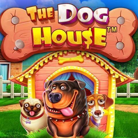 The Dog House slot review