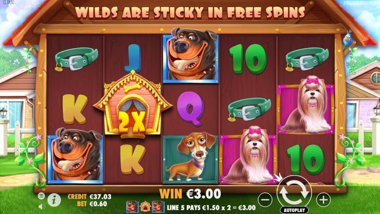 the-dog-house-slot review win