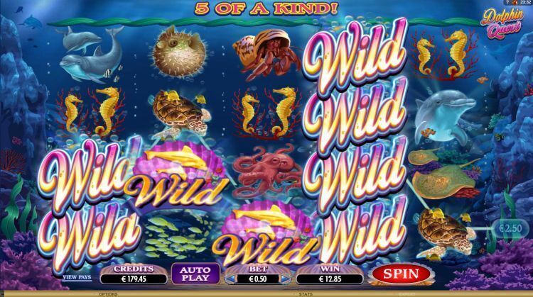 dolphin quest slot review