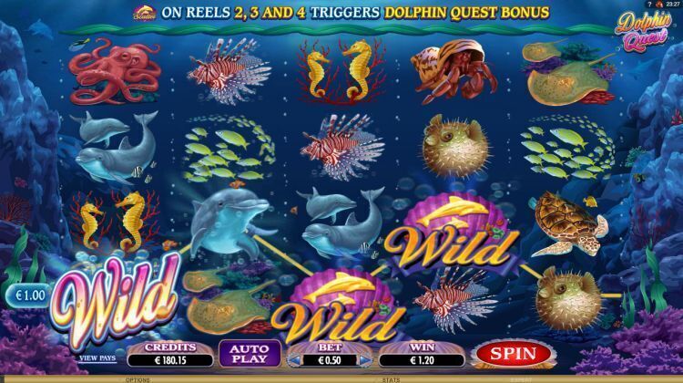 dolphin quest microgaming