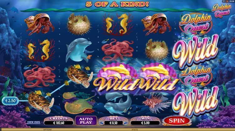 dolphin quest gokkast microgaming