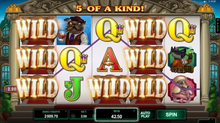 Hound-Hotel-online-slot-microgaming big win