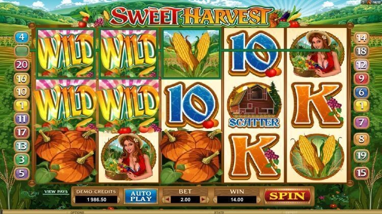 sweet harvest slot review microgaming