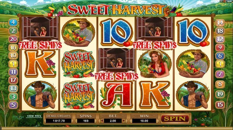 sweet harvest slot review microgaming bonus trigger