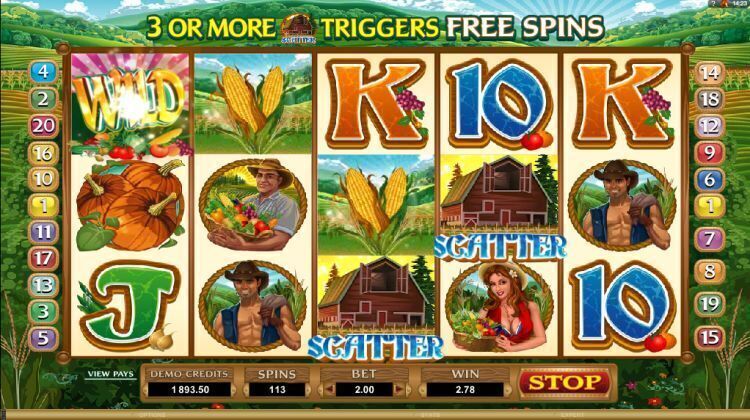 sweet harvest slot review microgaming win