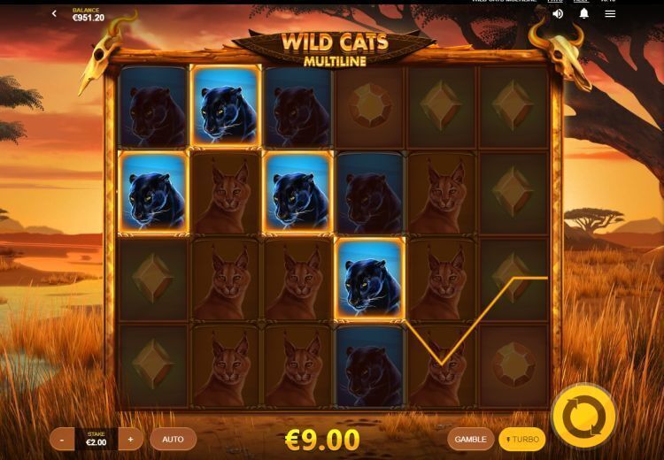Wild cats multiline slot review
