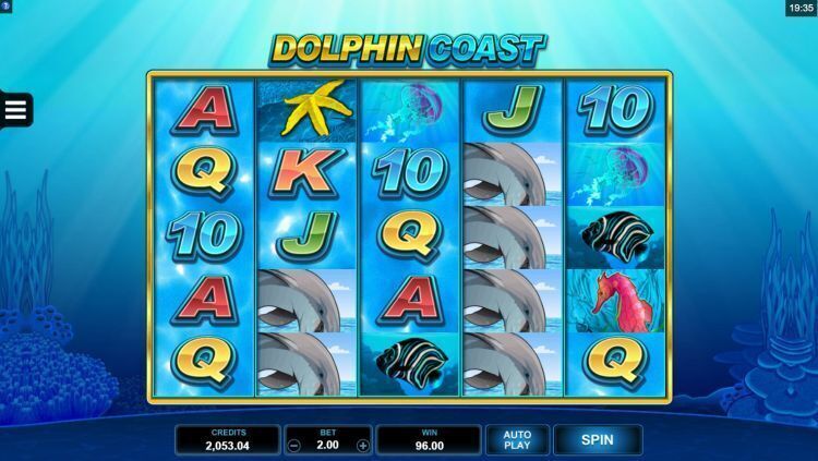 Dolphin Coast slot microgaming big win