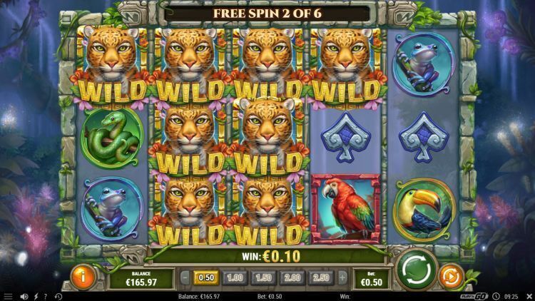 Rainforest magic slot review play'n GO free spins big win