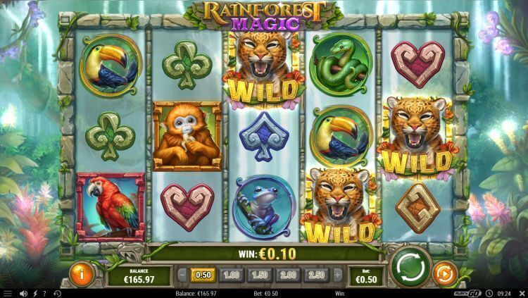 Rainforest magic slot review play'n GO free spins trigger