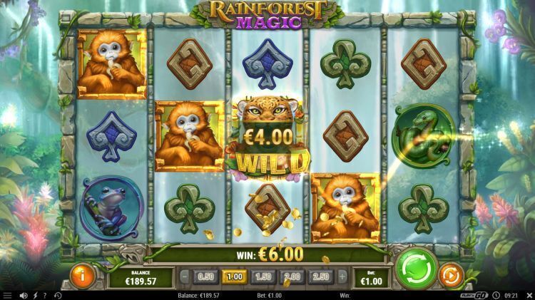 Rainforest magic slot review play'n GO win