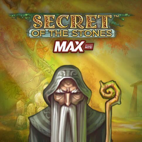 Secret of the Stones Max review logo