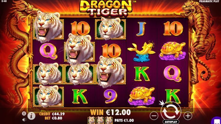 Dragon tiger slot review big win pragmatic play