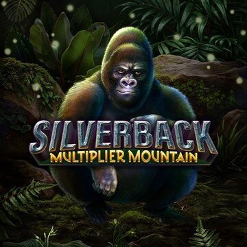 silverback-multiplier-mountain