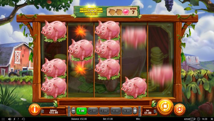 Piggy Bank Farm slot feature play n go