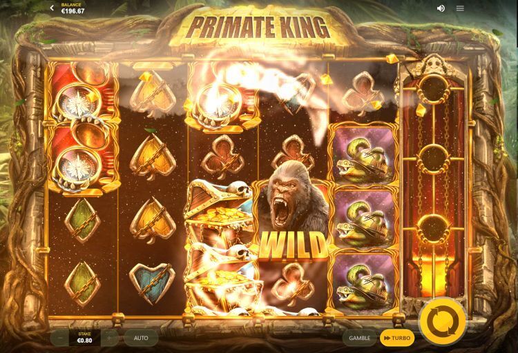 Primate King slot review feature