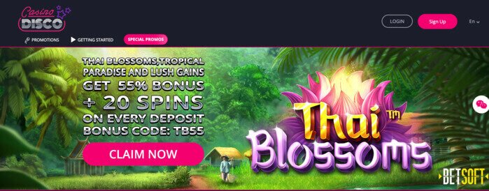 De homepage van CasinoDisco