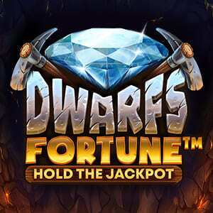 slot logo van de Dwarf's Fortune Hold the Jackpot gokkast
