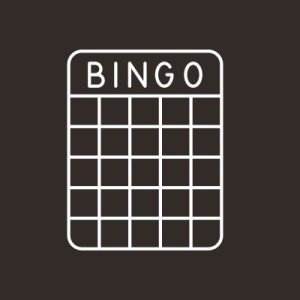 speel bingo in een 5 euro casino