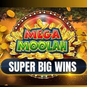 mega moolah super big wins