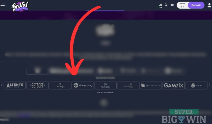 Brutal casino: spellen sorteren op provider