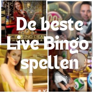 beste live bingo spellen