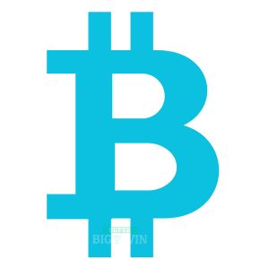 bitcoin cash logo